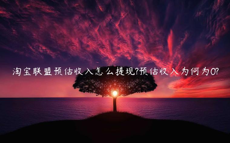 淘寶聯(lián)盟預(yù)估收入怎么提現(xiàn)?預(yù)估收入為何為0?